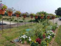 Villandry - Terrassengärten