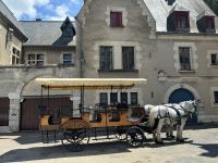 Unsere Pferdekutsche 