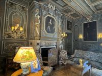 Dekorativer Kamin im großen Salon