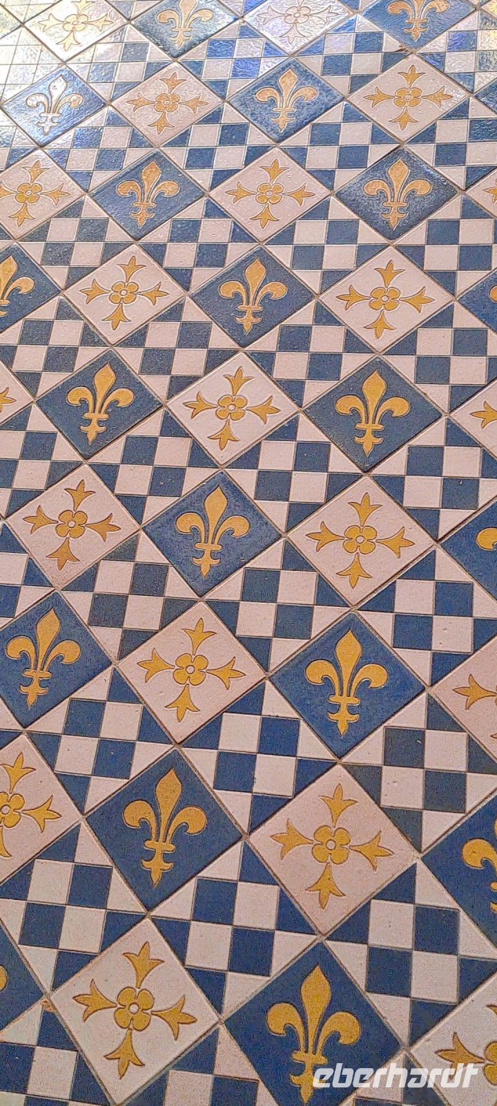 Blois, Bodenfliesen mit königlichen Symbolen