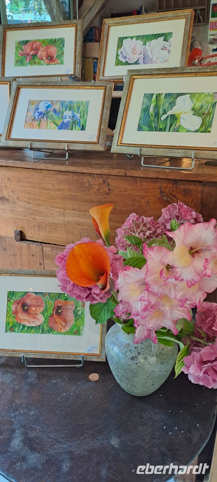 Azay le Rideau, Galerie (2)