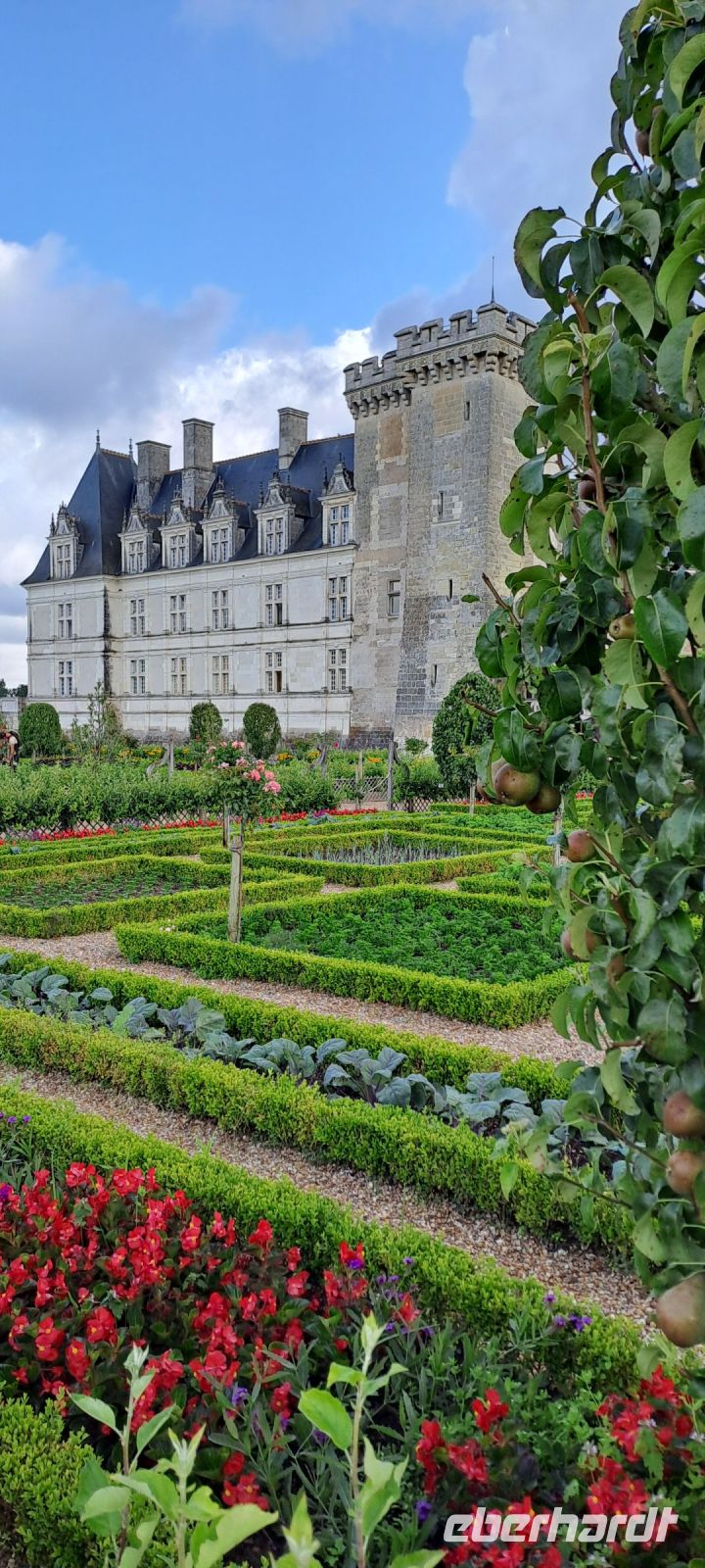 Villandry, Gemüsegarten (2)