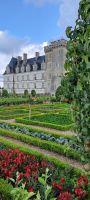 Villandry, Gemüsegarten (2)