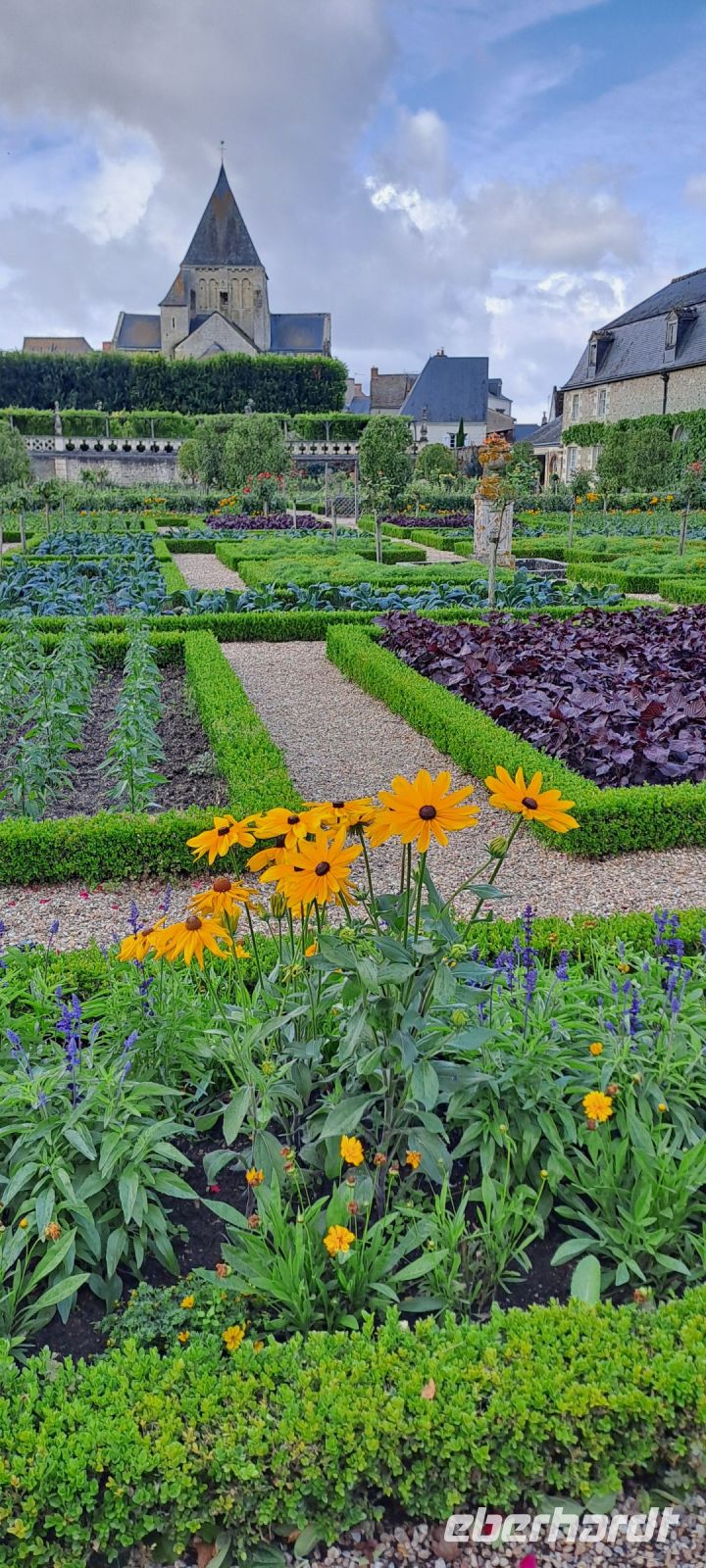 Villandry, Gemüsegarten (3)