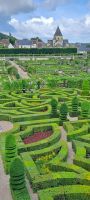 Villandry, Liebesgarten (2)