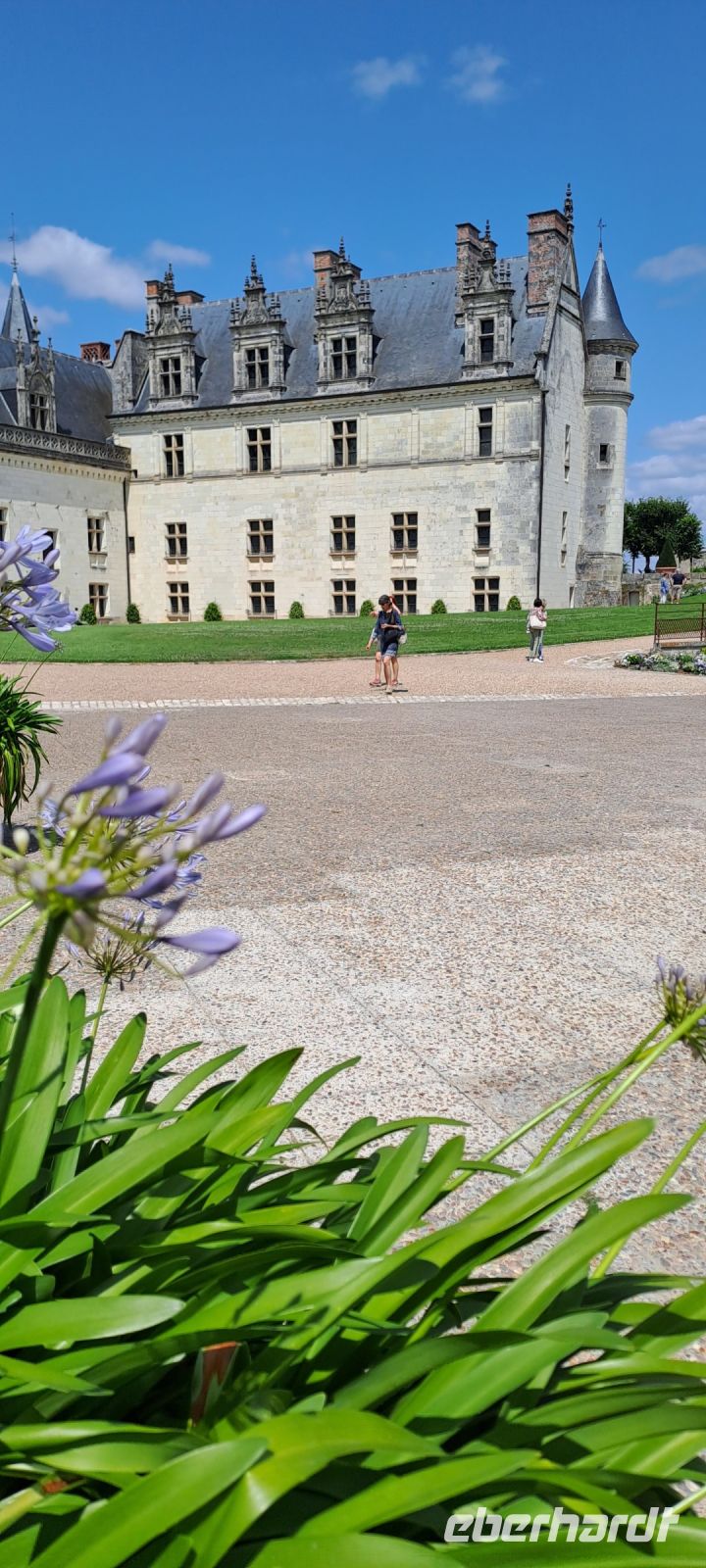 Amboise, Schloss