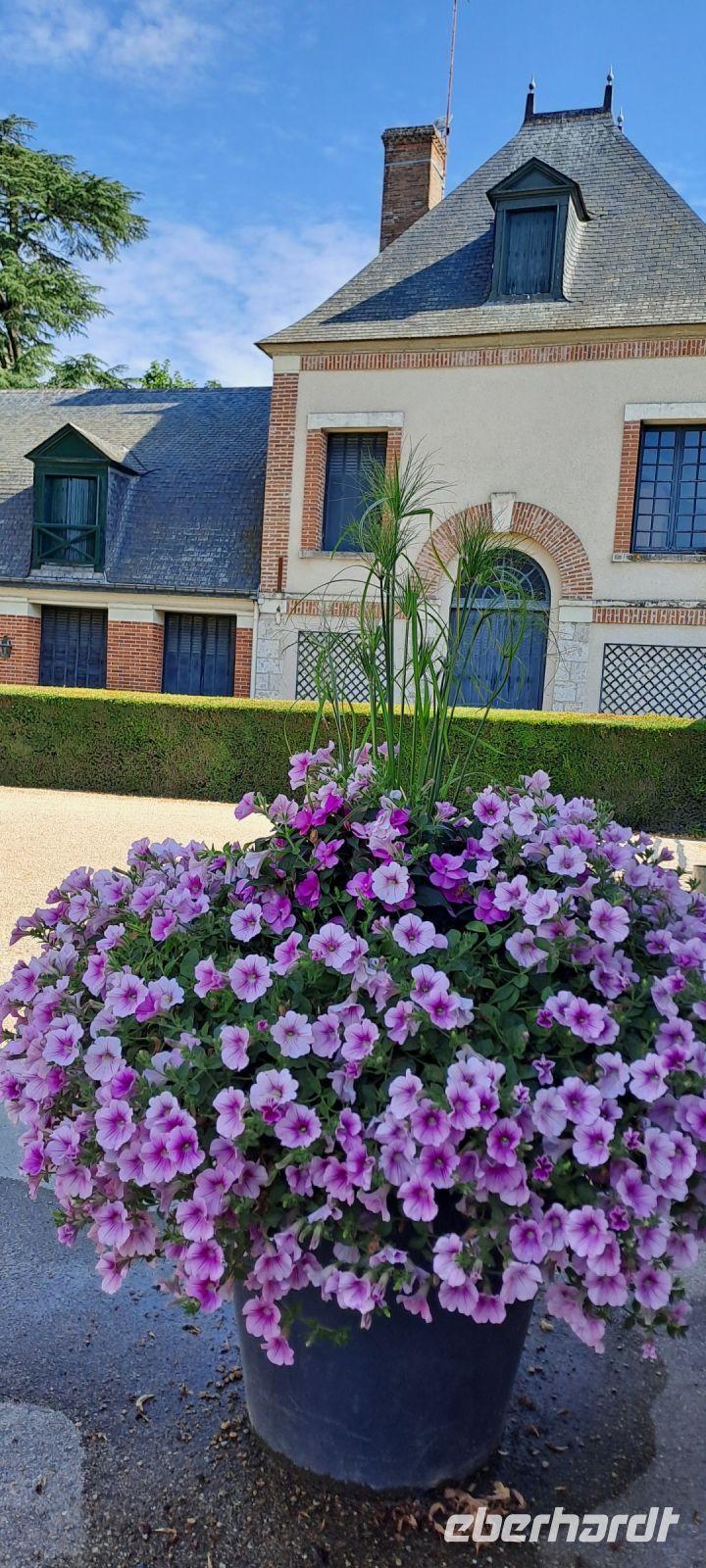 Cheverny, Haupteingang