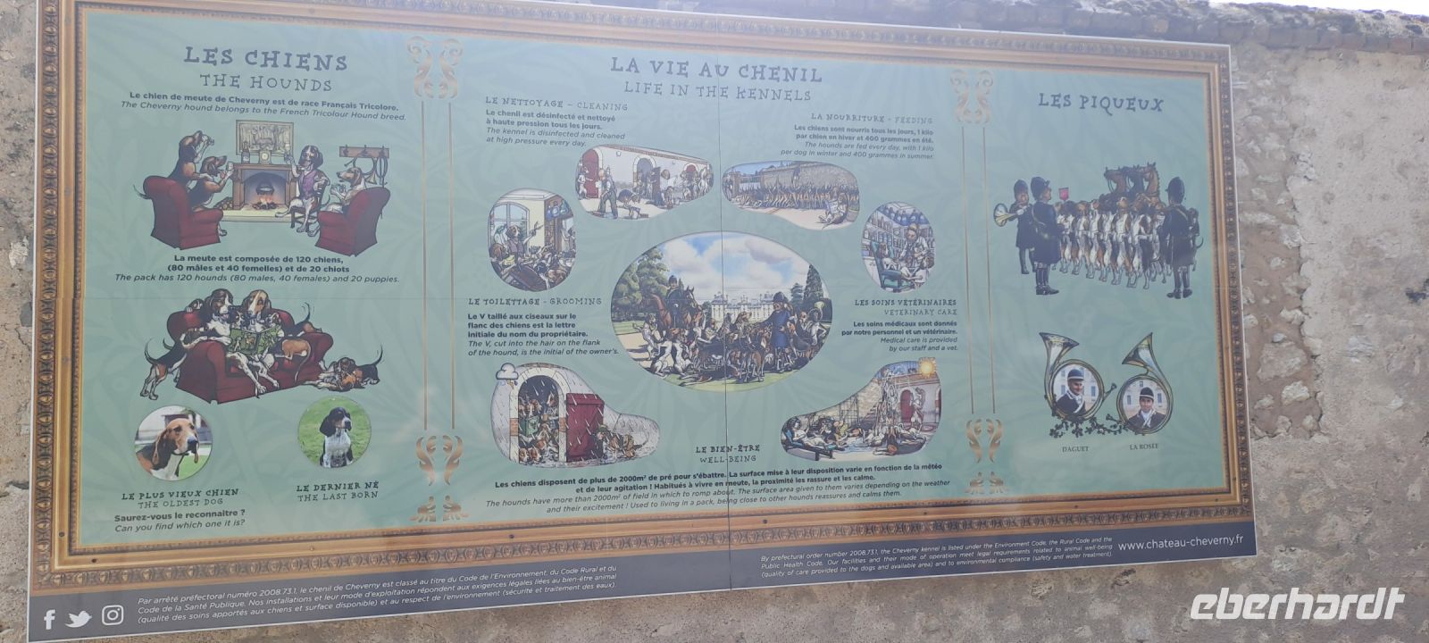 Cheverny, Hunde (2)
