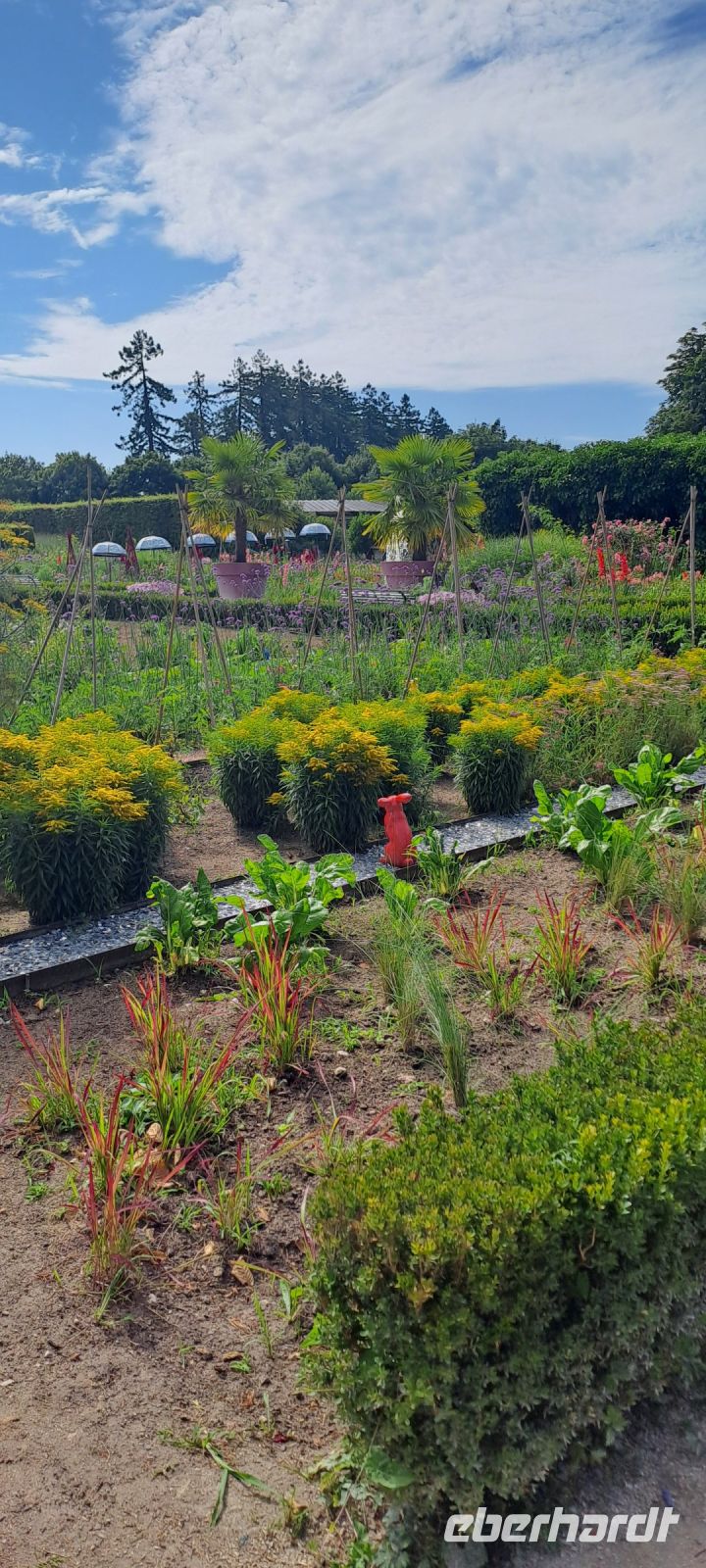 Cheverny, Nutzgarten