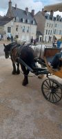 Kutschfahrt durch Blois