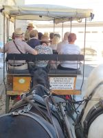 Kutschfahrt durch die Altstadt von Blois 