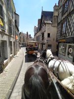 Kutschfahrt durch die Altstadt von Blois 
