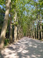 Wasserschloss Chenonceaux, Eingangsallee