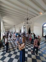 Führung durch das Wasserschloss Chenonceaux mit Martin