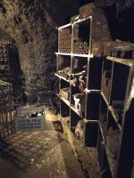 Besichtigung des Weingutes Cave Pére Auguste mit Führung