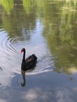 Im Schloßpark, Schloss Cheverny