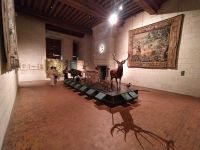 Führung durch das Schloss Chambord mit Martin