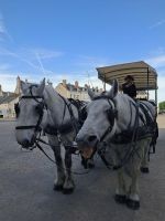 Pferdekutschfahrt in Blois &ndash; &copy; Katrin Deutschbein (Eberhardt TRAVEL)