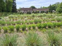 Schloss Chenonceau (Gemüsegarten) &ndash; &copy; Katrin Deutschbein (Eberhardt TRAVEL)
