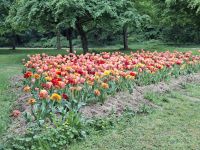 Schloss Cheverny (Garten) &ndash; &copy; Katrin Deutschbein (Eberhardt TRAVEL)