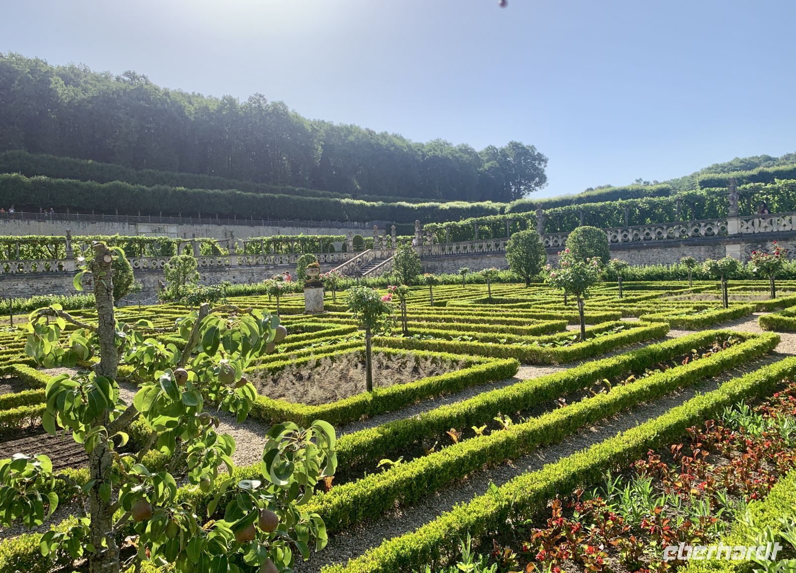 Villandry Garten  &ndash; &copy;  (Eberhardt TRAVEL)