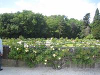 Gärten im Schloss Chenonceau
