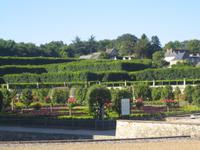 der Garten von Villandry