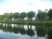 Bootsfahrt auf dem Cher