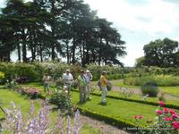 bei der Weingut und Tomatenzucht Besichtigung 