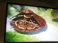 in Clos Lucé Leonardo da Vincí`s ehemaliger Wohnsitz in Amboise 