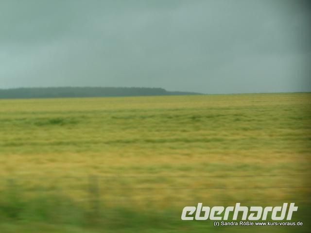 auf der Heinfahrt durch die Champagne 