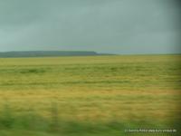 auf der Heinfahrt durch die Champagne 