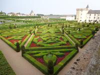Villandry, Liebesgarten