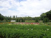 Die Parkanlage im Blütenzauber