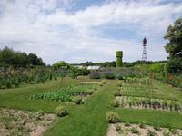 Der Kräuter- und Tomatengarten des Chateaus
