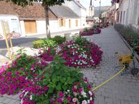 Die Orte übertreffen sich im Blumenschmuck