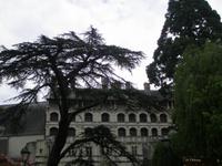 Fassade Chateau Blois