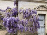 Azay-le-Rideau