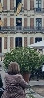 Blick auf das Haus des Zauberers mit Drachen