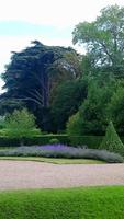 Chateau Cheverny