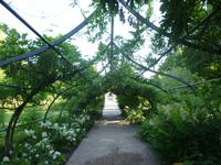 Cheverny