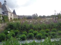 Cheverny