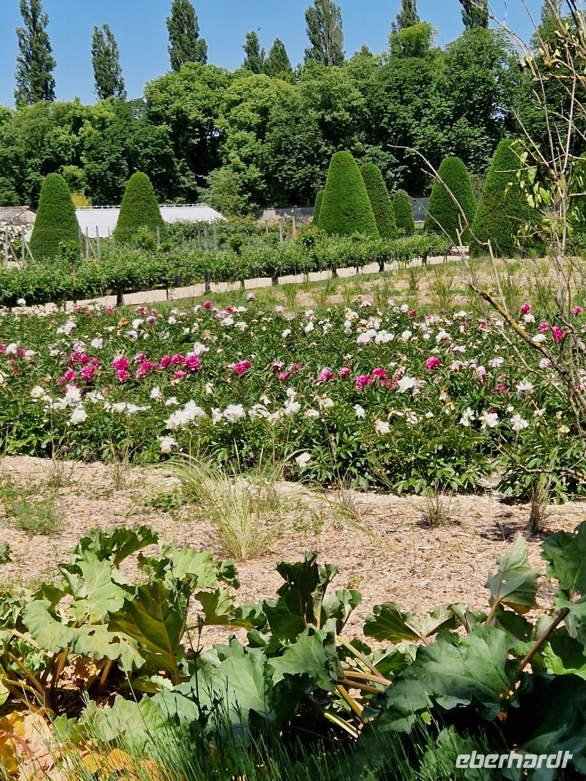 Garten vom Gutshof