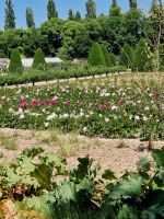Garten vom Gutshof