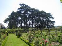 Gartenblicke