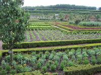 Gemüsegarten Villandry