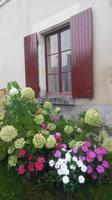 Impression einer Loirereise