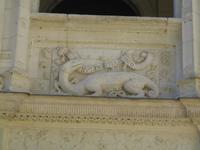 Salamander Franz I.