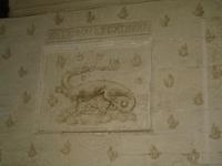 Salamander Franz I.
