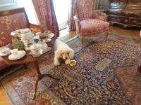 SchlossCheverny7